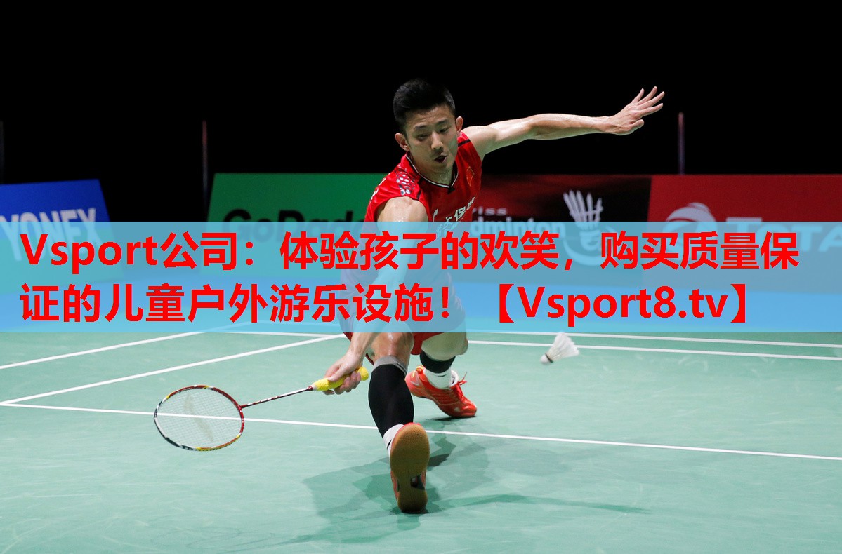 Vsport公司：體驗(yàn)孩子的歡笑，購買質(zhì)量保證的兒童戶外游樂設(shè)施！