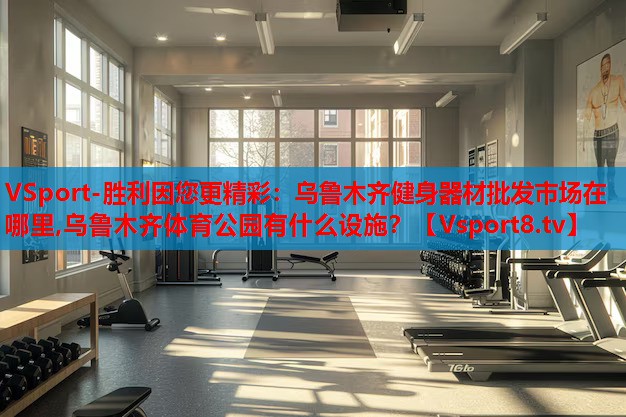 VSport-勝利因您更精彩：烏魯木齊健身器材批發(fā)市場在哪里,烏魯木齊體育公園有什么設(shè)施？