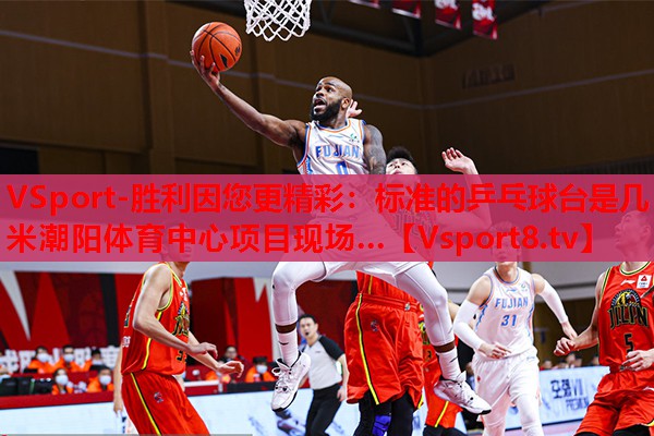 VSport-勝利因您更精彩：標(biāo)準(zhǔn)的乒乓球臺(tái)是幾米潮陽體育中心項(xiàng)目現(xiàn)場(chǎng)…